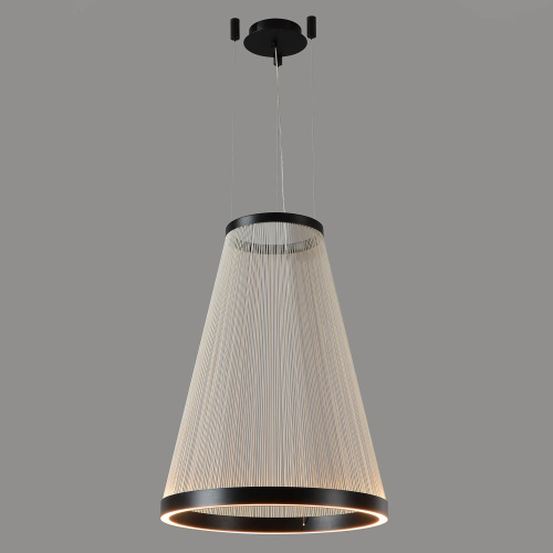 Crystal Lux Светильник подвесной Crystal Lux ATRIUM A SP50W LED фото 2